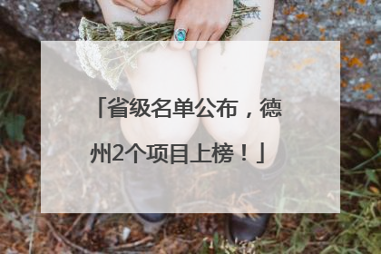 省级名单公布，德州2个项目上榜！