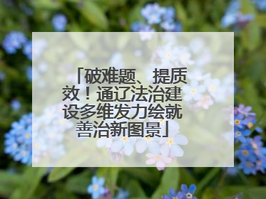 破难题、提质效！通辽法治建设多维发力绘就善治新图景