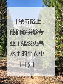 禁毒路上，他们够拼够专业（建设更高水平的平安中国）