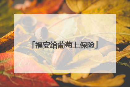 福安给葡萄上保险