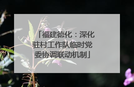 福建德化：深化驻村工作队临时党委协调联动机制