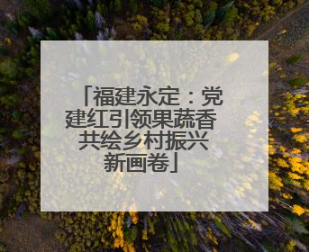 福建永定：党建红引领果蔬香 共绘乡村振兴新画卷