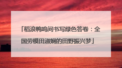 稻浪鸭鸣间书写绿色答卷：全国劳模田淑娴的田野振兴梦