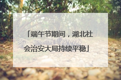 端午节期间，湖北社会治安大局持续平稳