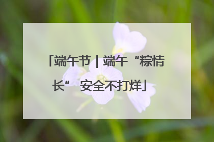 端午节｜端午“粽情长” 安全不打烊