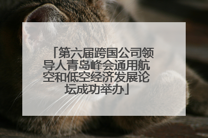 第六届跨国公司领导人青岛峰会通用航空和低空经济发展论坛成功举办