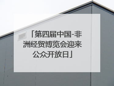 第四届中国-非洲经贸博览会迎来公众开放日
