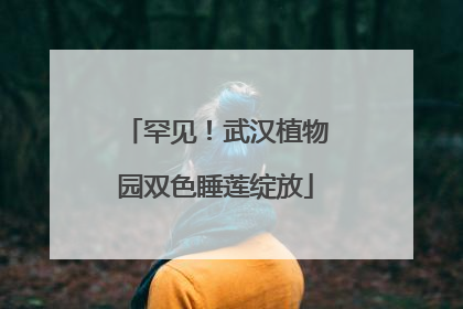 罕见！武汉植物园双色睡莲绽放