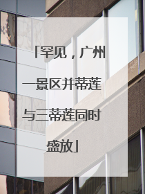 罕见，广州一景区并蒂莲与三蒂莲同时盛放