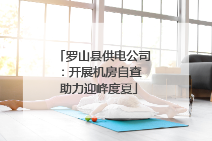 罗山县供电公司：开展机房自查 助力迎峰度夏