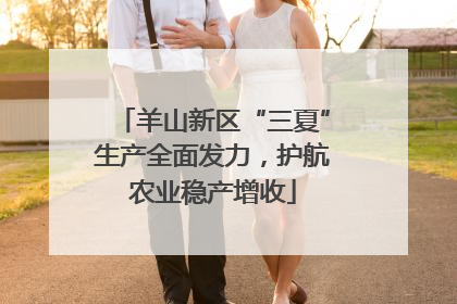 羊山新区“三夏”生产全面发力，护航农业稳产增收