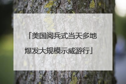 美国阅兵式当天多地爆发大规模示威游行