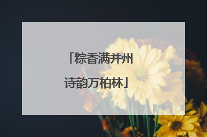 粽香满并州 诗韵万柏林