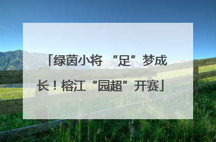 绿茵小将 “足”梦成长！榕江“园超”开赛
