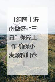 组图丨沂南做好“三夏”保障工作 确保小麦颗粒归仓