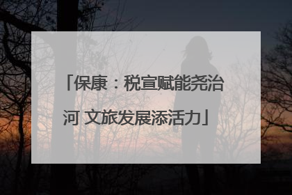 保康：税宣赋能尧治河 文旅发展添活力
