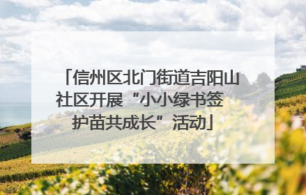 信州区北门街道吉阳山社区开展“小小绿书签 护苗共成长”活动