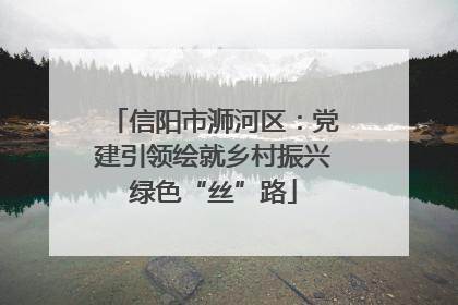 信阳市浉河区：党建引领绘就乡村振兴绿色“丝”路