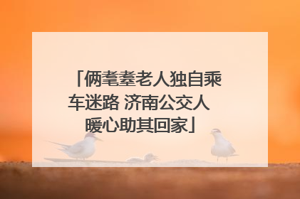 俩耄耋老人独自乘车迷路 济南公交人暖心助其回家