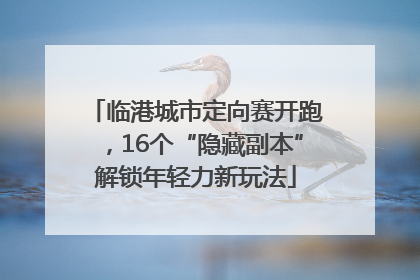 临港城市定向赛开跑，16个“隐藏副本”解锁年轻力新玩法