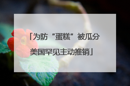 为防“蛋糕”被瓜分 美国罕见主动推销