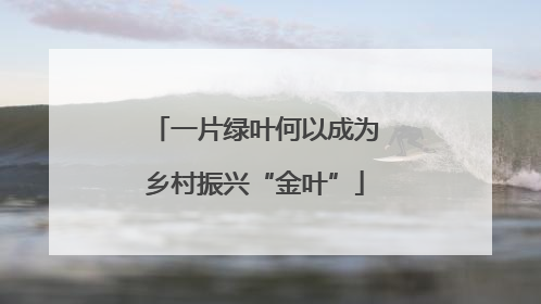 一片绿叶何以成为乡村振兴“金叶”