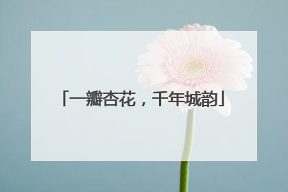 一瓣杏花，千年城韵