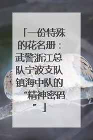一份特殊的花名册：武警浙江总队宁波支队镇海中队的“精神密码”