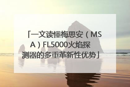 一文读懂梅思安（MSA）FL5000火焰探测器的多重革新性优势