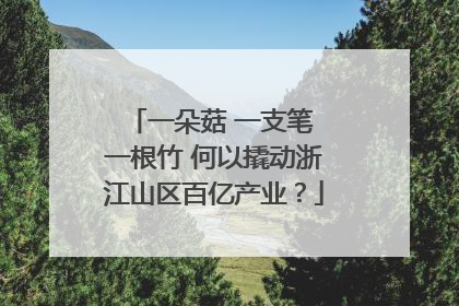 一朵菇 一支笔 一根竹 何以撬动浙江山区百亿产业？