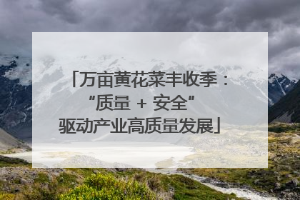 万亩黄花菜丰收季：“质量 + 安全” 驱动产业高质量发展