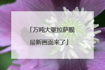 万吨大驱拉萨舰最新画面来了