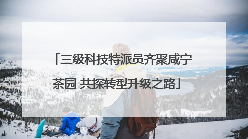 三级科技特派员齐聚咸宁茶园 共探转型升级之路