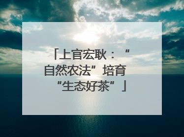 上官宏耿：“自然农法”培育“生态好茶”