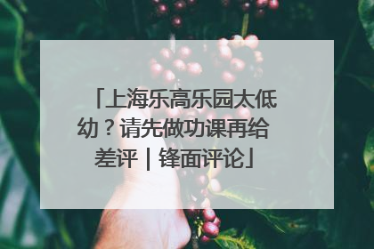 上海乐高乐园太低幼？请先做功课再给差评｜锋面评论