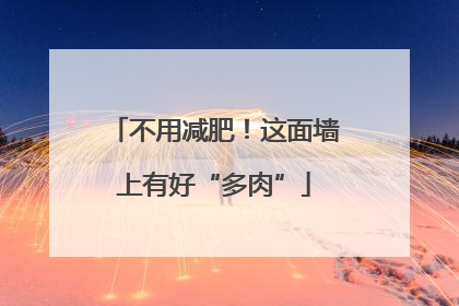 不用减肥！这面墙上有好“多肉”