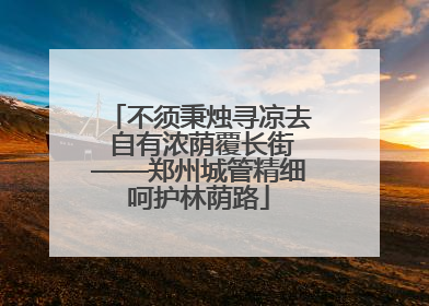 不须秉烛寻凉去 自有浓荫覆长街——郑州城管精细呵护林荫路