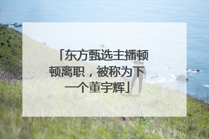 东方甄选主播顿顿离职，被称为下一个董宇辉