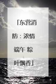 东营消防：浓情端午 粽叶飘香