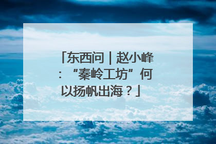 东西问｜赵小峰：“秦岭工坊”何以扬帆出海？