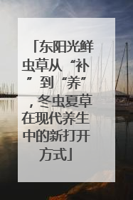 东阳光鲜虫草从“补”到“养”，冬虫夏草在现代养生中的新打开方式