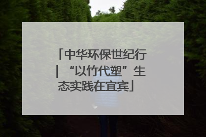 中华环保世纪行｜“以竹代塑”生态实践在宜宾