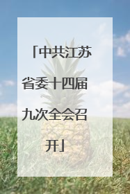 中共江苏省委十四届九次全会召开
