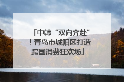 中韩“双向奔赴”！青岛市城阳区打造跨国消费狂欢场