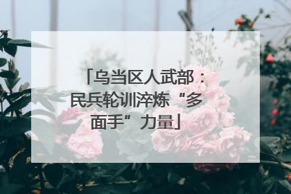 乌当区人武部：民兵轮训淬炼“多面手”力量