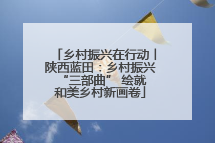 乡村振兴在行动丨陕西蓝田：乡村振兴 “三部曲” 绘就和美乡村新画卷
