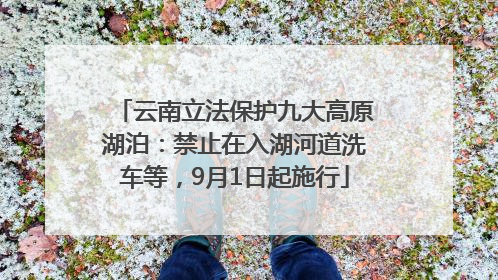 云南立法保护九大高原湖泊：禁止在入湖河道洗车等，9月1日起施行