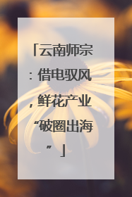 云南师宗：借电驭风，鲜花产业“破圈出海”