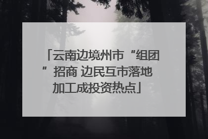 云南边境州市“组团”招商 边民互市落地加工成投资热点