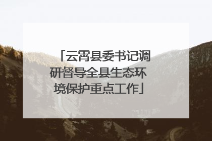 云霄县委书记调研督导全县生态环境保护重点工作